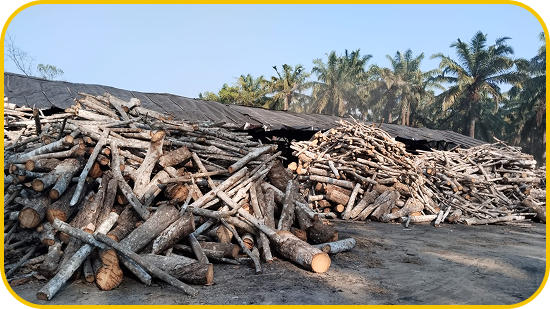 Raw hardwood log stockpile