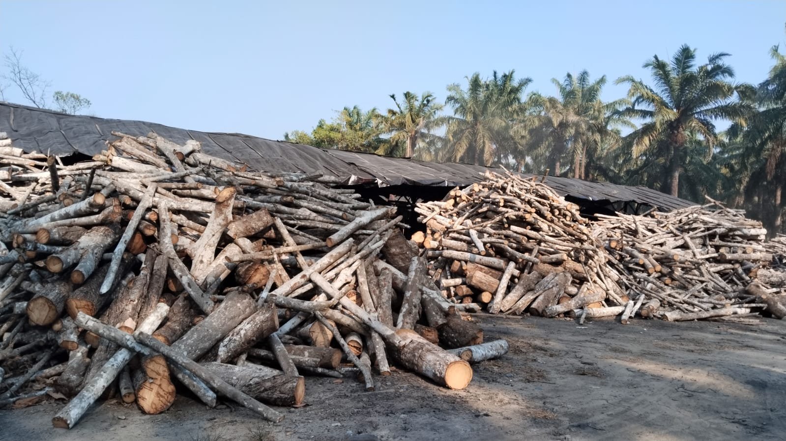 PREMIUM NATURAL HARDWOOD CHARCOAL