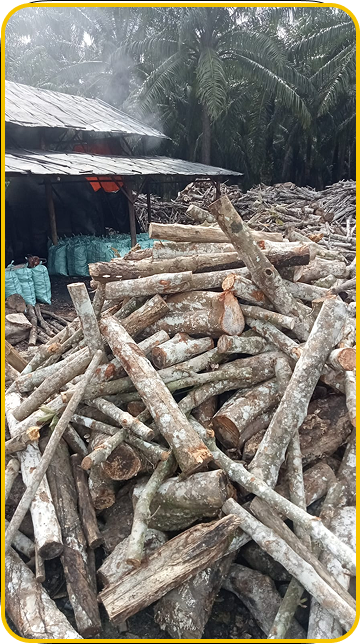 Hardwood raw materials vertical stack